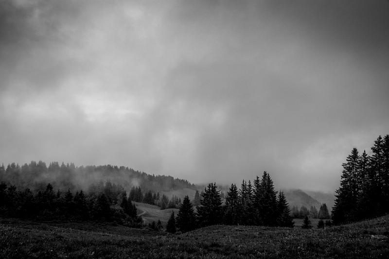 2017_06_05 (0067).jpg - Col Croix-Fry, pointe de Beauregard (Juin 2017)